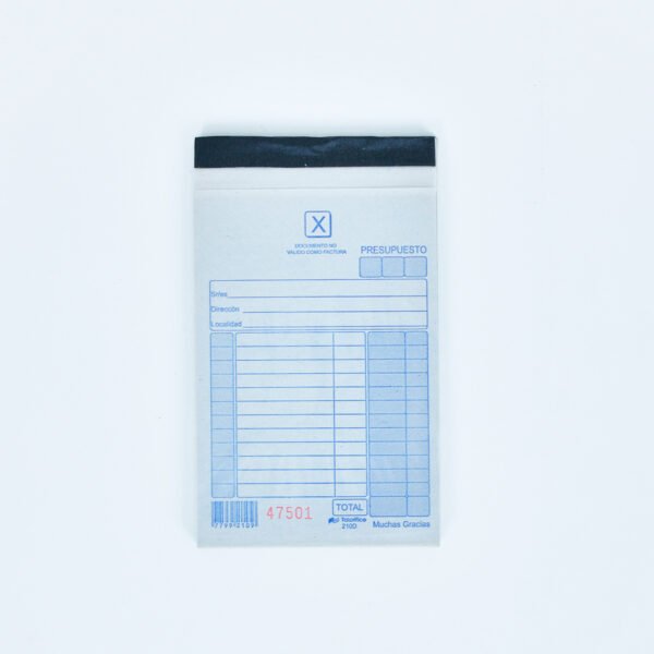 TALONARIO REMITO X CHICO